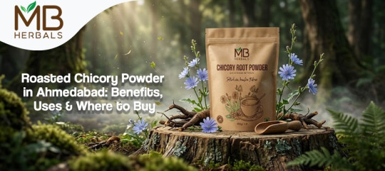 Roasted Chicory Powder in Ahmedabad: Benefits, Uses & Where to Buy