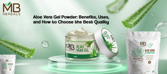 Aloe Vera Gel-Powder: Benefits, Uses, and How to Choose the Best Quality